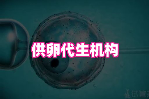 123试管孕网 4